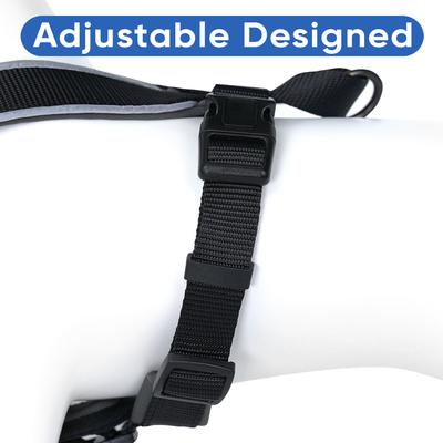 Show full view: Pawtitas Personalized Reflective Dog Harness, Black, Medium: 21 to 28-in chest slide 5 of 10