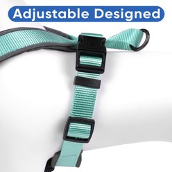 Pawtitas Personalized Reflective Dog Harness, Teal, Small: 16 to 20-in chest slide 2 of 9