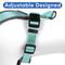 Show in main carousel: Pawtitas Personalized Reflective Dog Harness, Teal, Small: 16 to 20-in chest slide 5 of 10