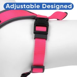 Pawtitas Personalized Reflective Dog Harness, Pink, Small: 16 to 20-in chest slide 2 of 9