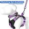 Show in main carousel: Pawtitas Personalized Reflective Dog Harness, Orchid, Large: 28 to 35-in chest slide 8 of 10