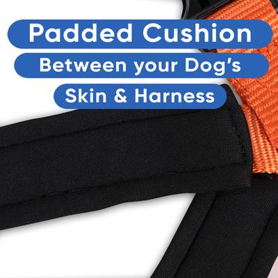 Show full view: Pawtitas Personalized Reflective Dog Harness, Orange, Large: 28 to 35-in chest slide 7 of 10