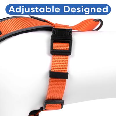 Show full view: Pawtitas Personalized Reflective Dog Harness, Orange, Large: 28 to 35-in chest slide 5 of 10