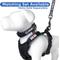 Show in main carousel: Pawtitas Personalized Reflective Dog Harness, Black, Medium: 21 to 28-in chest slide 8 of 10