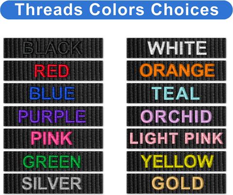 Show full view: Pawtitas Solid Personalized Dog Leash, Black, Large: 6-ft long, 1-in wide slide 2 of 10