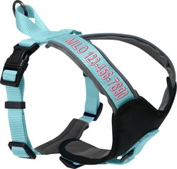 Pawtitas Personalized Reflective Dog Harness, Teal, Small: 16 to 20-in chest