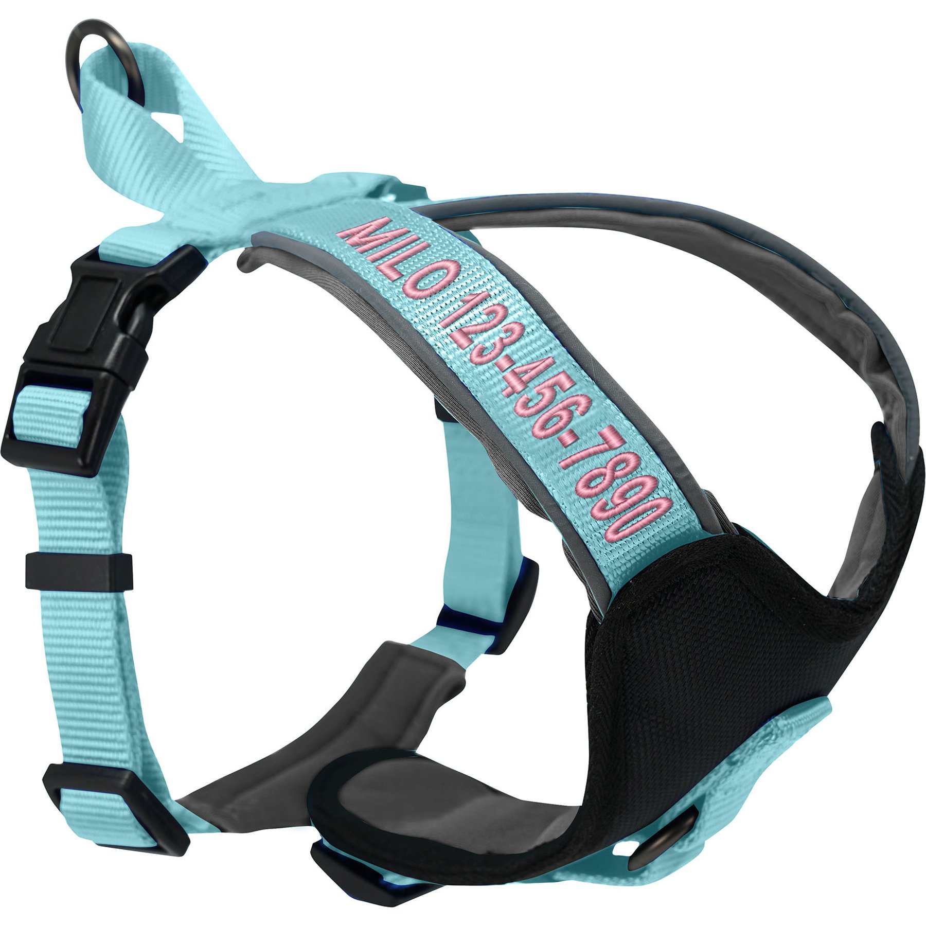 Pawtitas Personalized Reflective Dog Harness, Teal, Small: 16 to 20-in chest