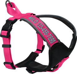 Pawtitas Personalized Reflective Dog Harness, Pink, Large: 28 to 35-in chest