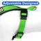 Show in main carousel: Pawtitas Personalized Reflective Dog Harness, Green, Medium: 21 to 28-in chest slide 5 of 10