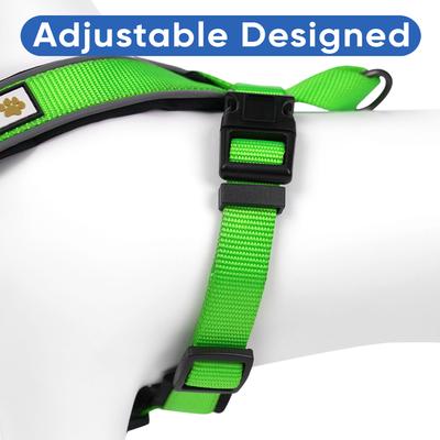 Show full view: Pawtitas Personalized Reflective Dog Harness, Green, Medium: 21 to 28-in chest slide 5 of 10