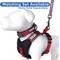 Show in main carousel: Pawtitas Personalized Reflective Dog Harness, Red, Large: 28 to 35-in chest slide 8 of 10