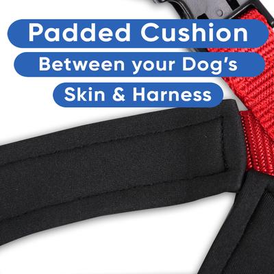 Show full view: Pawtitas Personalized Reflective Dog Harness, Red, Large: 28 to 35-in chest slide 7 of 10