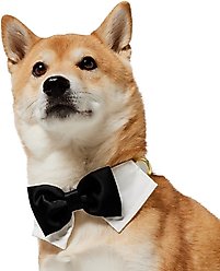 Frisco Wedding Removable Bow Tie Dog Collar, M: 14 to 20-in neck, 3/4-in wide slide 2 of 9