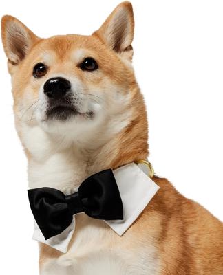 Show full view: Frisco Wedding Removable Bow Tie Dog Collar, M: 14 to 20-in neck, 3/4-in wide slide 3 of 11