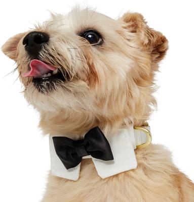 Show full view: Frisco Wedding Removable Bow Tie Dog Collar, XS: 8 to 12-in neck, 5/8-in wide slide 3 of 11