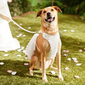 Frisco Wedding Rosette Removable Dress Skirt Dog Harness, L/XL: 23 to 32-in chest