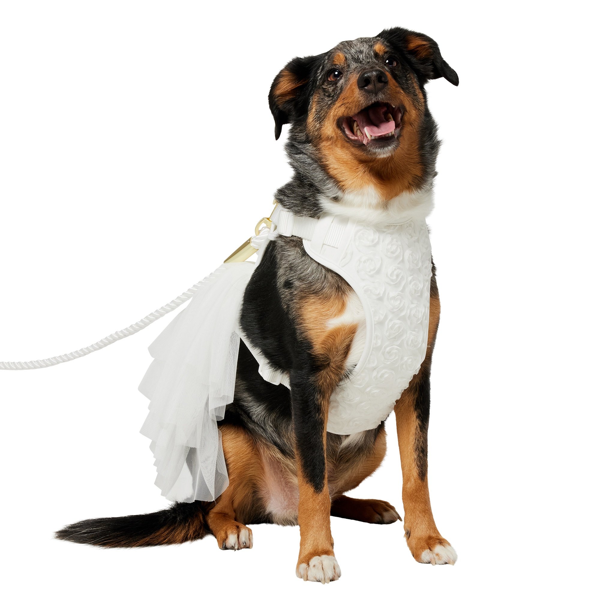 Product Reviews for FRISCO Wedding Rosette Removable Dress Skirt Dog Harness Product Reviews for FRISCO Wedding Rosette Removable Dress Skirt Dog Harness