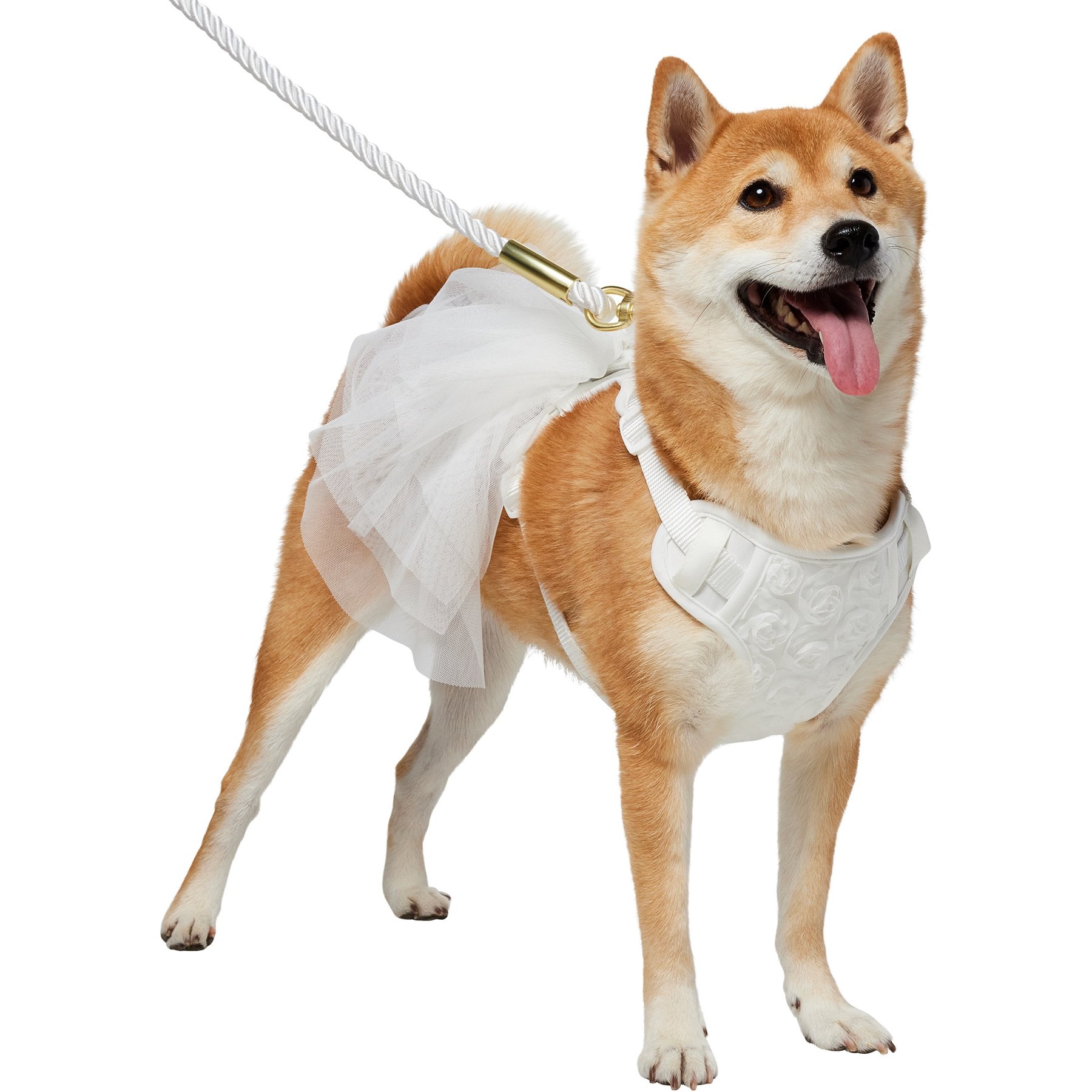 Frisco Wedding Rosette Removable Dress Skirt Dog Harness, M: 19 to 23-in chest