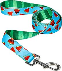 Frisco Reversible Summer Watermelon Print Dog Leash, L/XL: 6-ft long, 1-in wide