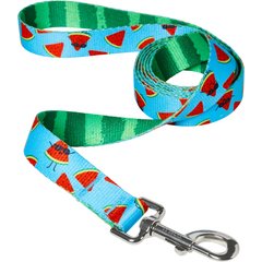 Frisco Reversible Summer Watermelon Print Dog Leash, L/XL: 6-ft long, 1-in wide