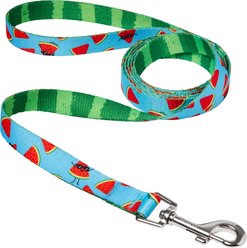 Frisco Reversible Summer Watermelon Print Dog Leash, M: 6-ft long, 3/4-in wide