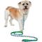Show in main carousel: Frisco Reversible Summer Watermelon Print Dog Leash, M: 6-ft long, 3/4-in wide slide 3 of 11