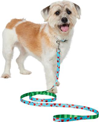 Show full view: Frisco Reversible Summer Watermelon Print Dog Leash, M: 6-ft long, 3/4-in wide slide 3 of 11