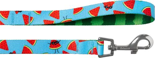 Show full view: Frisco Reversible Summer Watermelon Print Dog Leash, M: 6-ft long, 3/4-in wide slide 2 of 11