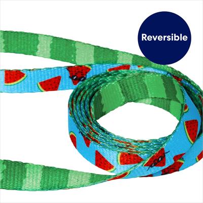 Show full view: Frisco Reversible Summer Watermelon Print Dog Leash, XS/S: 6-ft long, 5/8-in wide slide 4 of 11