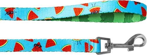 Show full view: Frisco Reversible Summer Watermelon Print Dog Leash, XS/S: 6-ft long, 5/8-in wide slide 2 of 11