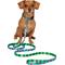 Show in main carousel: Frisco Reversible Summer Watermelon Print Dog Leash, XS/S: 6-ft long, 5/8-in wide slide 3 of 11