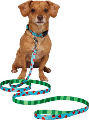 Show full view: Frisco Reversible Summer Watermelon Print Dog Leash, XS/S: 6-ft long, 5/8-in wide slide 3 of 11