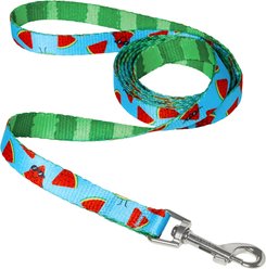 Frisco Reversible Summer Watermelon Print Dog Leash, XS/S: 6-ft long, 5/8-in wide