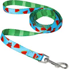 Frisco Reversible Summer Watermelon Print Dog Leash, XS/S: 6-ft long, 5/8-in wide