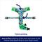 Show in main carousel: Frisco Reversible Summer Watermelon Print Dog Harness (Patent Pending), XXL/XXXL: 32 to 42-in chest slide 4 of 10