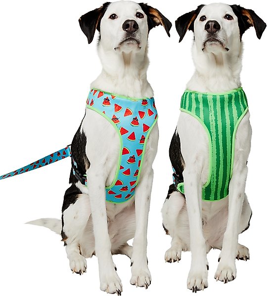 ＤＯＧＳ FRISCO Reversible Summer Watermelon Print Dog Harness