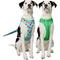 Show in main carousel: Frisco Reversible Summer Watermelon Print Dog Harness (Patent Pending), XXL/XXXL: 32 to 42-in chest slide 1 of 10