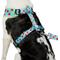 Show in main carousel: Frisco Reversible Summer Watermelon Print Dog Harness (Patent Pending), XXL/XXXL: 32 to 42-in chest slide 2 of 10