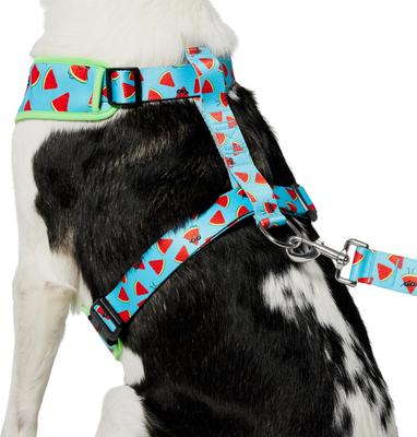 Show full view: Frisco Reversible Summer Watermelon Print Dog Harness (Patent Pending), XXL/XXXL: 32 to 42-in chest slide 2 of 10