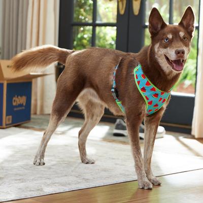 Show full view: Frisco Reversible Summer Watermelon Print Dog Harness (Patent Pending), L/XL: 23 to 32-in chest slide 6 of 10