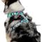 Show in main carousel: Frisco Reversible Summer Watermelon Print Dog Harness (Patent Pending), L/XL: 23 to 32-in chest slide 2 of 10