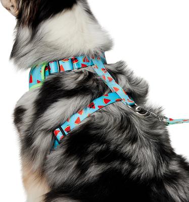 Show full view: Frisco Reversible Summer Watermelon Print Dog Harness (Patent Pending), L/XL: 23 to 32-in chest slide 2 of 10