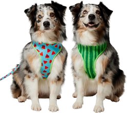 Frisco Reversible Summer Watermelon Print Dog Harness (Patent Pending), L/XL: 23 to 32-in chest