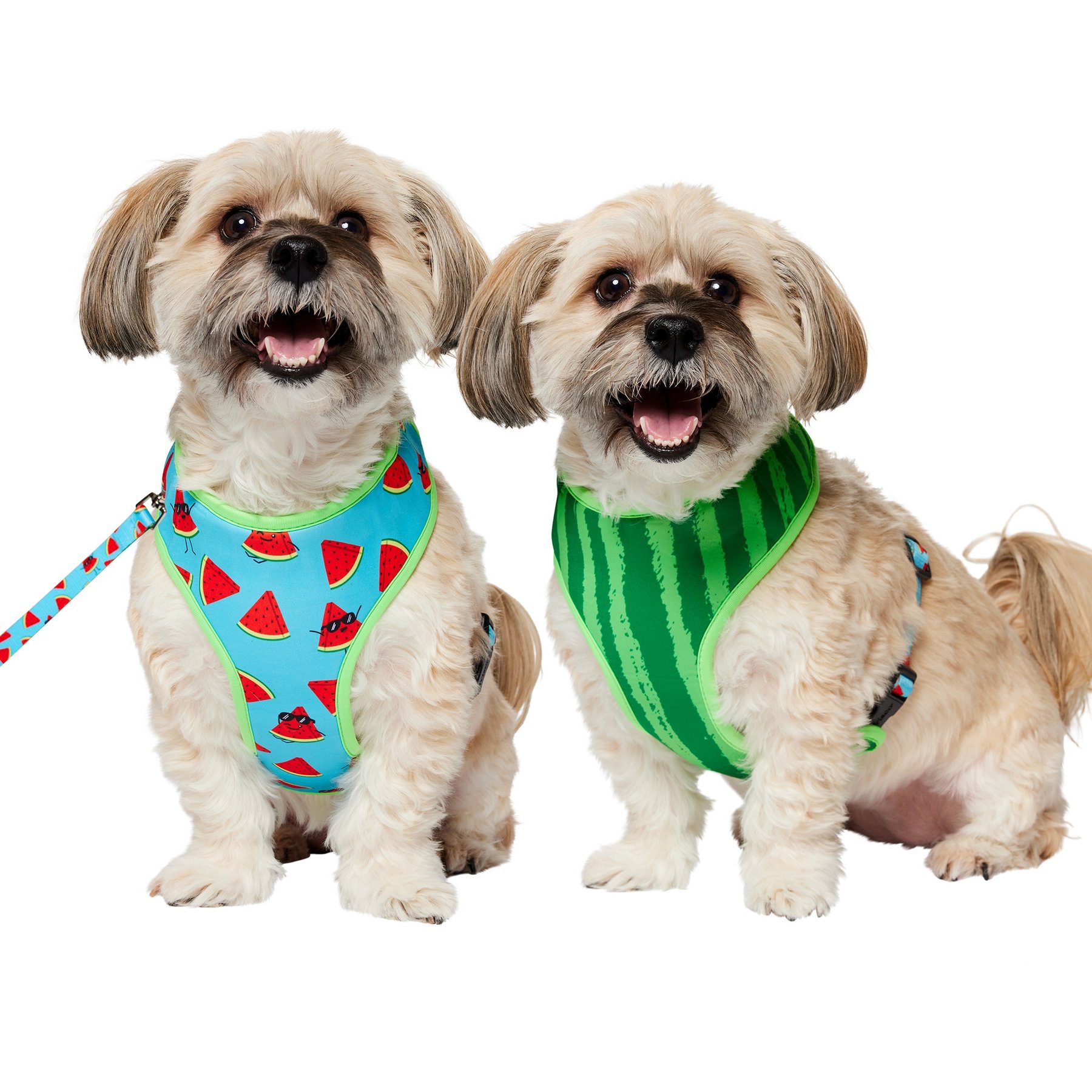 Frisco Reversible Summer Watermelon Print Dog Harness (Patent Pending), M: 19 to 23-in chest