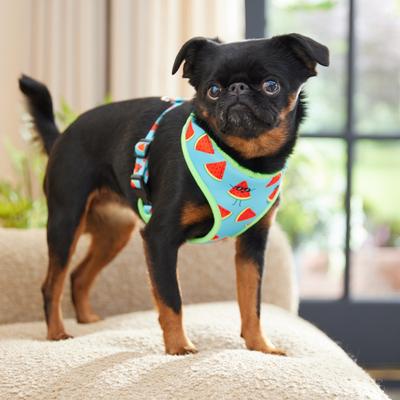 Show full view: Frisco Reversible Summer Watermelon Print Dog Harness (Patent Pending), S: 15 to 19-in chest slide 7 of 11