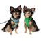 Show in main carousel: Frisco Reversible Summer Watermelon Print Dog Harness (Patent Pending), S: 15 to 19-in chest slide 1 of 11