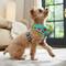 Show in main carousel: Frisco Reversible Summer Watermelon Print Dog Harness (Patent Pending), XS: 11 to 15-in chest slide 6 of 10
