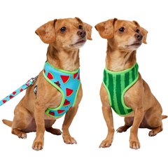 Frisco Reversible Summer Watermelon Print Dog Harness (Patent Pending), XS: 11 to 15-in chest