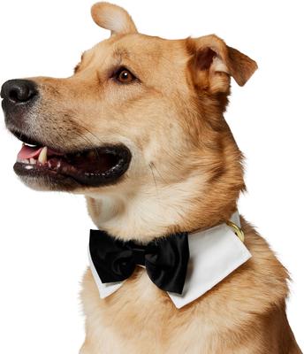 Show full view: Frisco Wedding Removable Bow Tie Dog Collar, L/XL: 18 to 26-in neck, 1-in wide slide 3 of 11