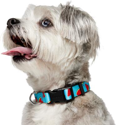 Show full view: Frisco Watermelon Print Summer Dog Collar, M: 14 to 20-in neck, 3/4-in wide slide 4 of 12